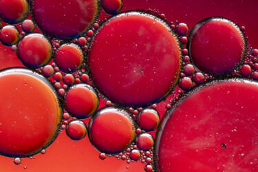 Ross Hoddinott |  Nikon magazine