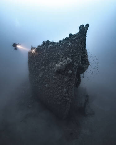 Nikon magazine - How to become an underwater photographer