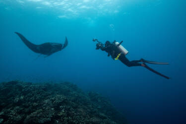 Tom Vierus' assets for Nikon magazine