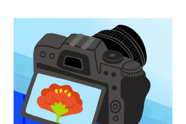 Nikon magazine's Nikon Quickstart cheat sheets