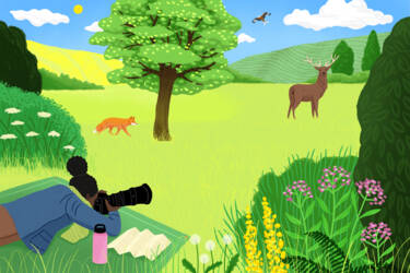 Nikon magazine's Nikon Quickstart cheat sheets