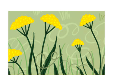 Nikon magazine's Nikon Quickstart cheat sheets