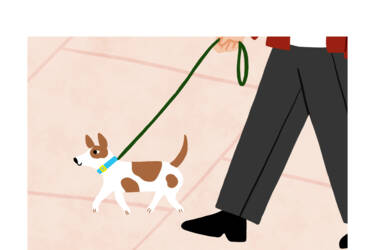 Nikon magazine's Nikon Quickstart cheat sheets