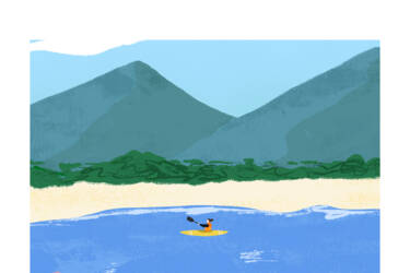 Nikon magazine - cheat sheets focal length