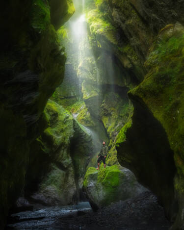 Images for Nikon magazine