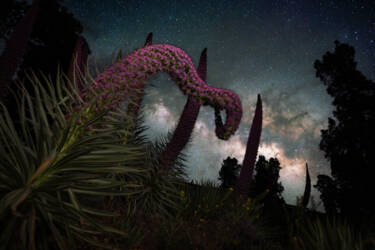 Nikon magazine - better nighttime photography