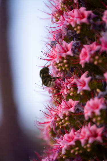 Nikon magazine - better nighttime photography