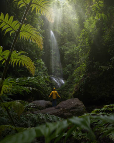 Nikon magazine - better nighttime photography